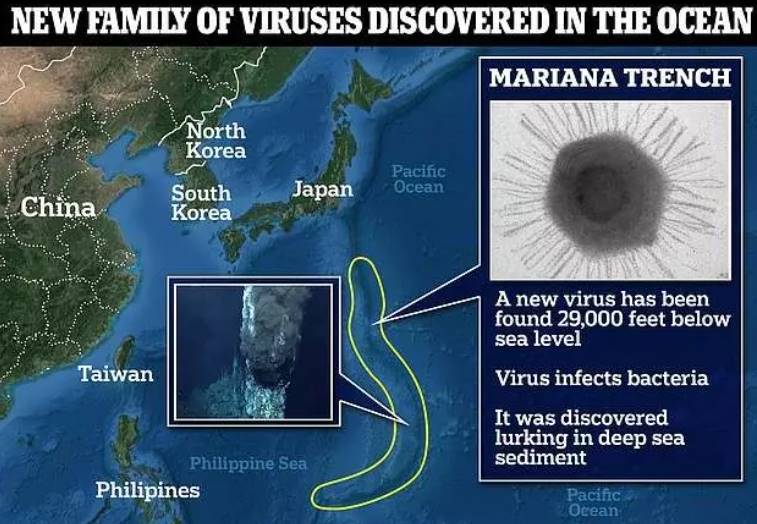 Mariana Çukuru’nda Yeni Bir Virüs Keşfi