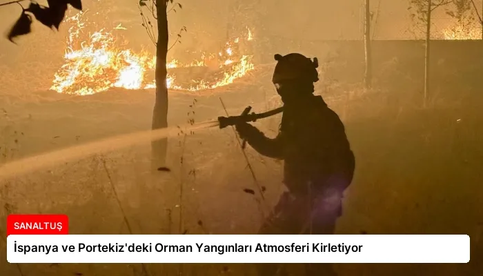 İspanya ve Portekiz’deki Orman Yangınları Atmosferi Kirletiyor