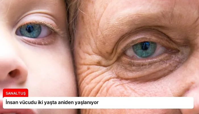 İnsan vücudu iki yaşta aniden yaşlanıyor
