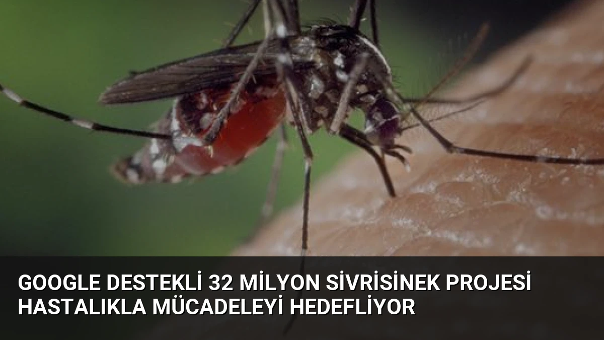 Google Destekli 32 Milyon Sivrisinek Projesi Hastalıkla Mücadeleyi Hedefliyor