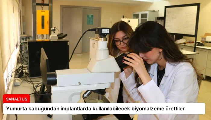 Yumurta kabuğundan implantlarda kullanılabilecek biyomalzeme ürettiler