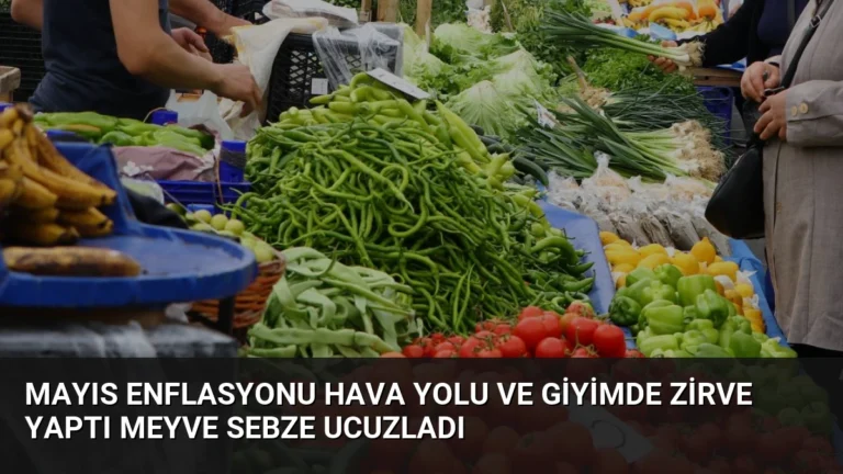 Mayıs Enflasyonu Hava Yolu ve Giyimde Zirve Yaptı Meyve Sebze Ucuzladı
