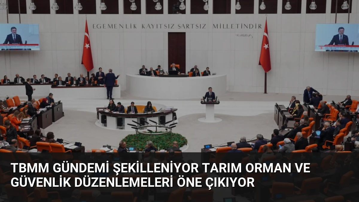 TBMM Gündemi Şekilleniyor Tarım Orman ve Güvenlik Düzenlemeleri Öne Çıkıyor