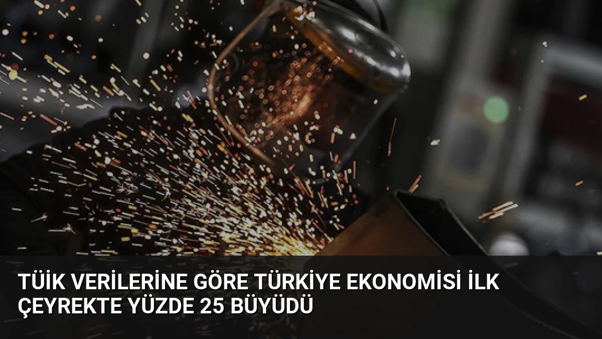 TÜİK Verilerine Göre Türkiye Ekonomisi İlk Çeyrekte Yüzde 25 Büyüdü