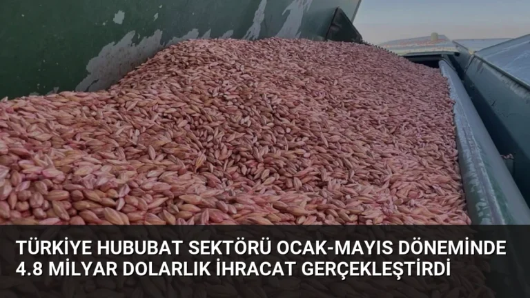 Türkiye Hububat Sektörü Ocak-Mayıs Döneminde 4.8 Milyar Dolarlık İhracat Gerçekleştirdi