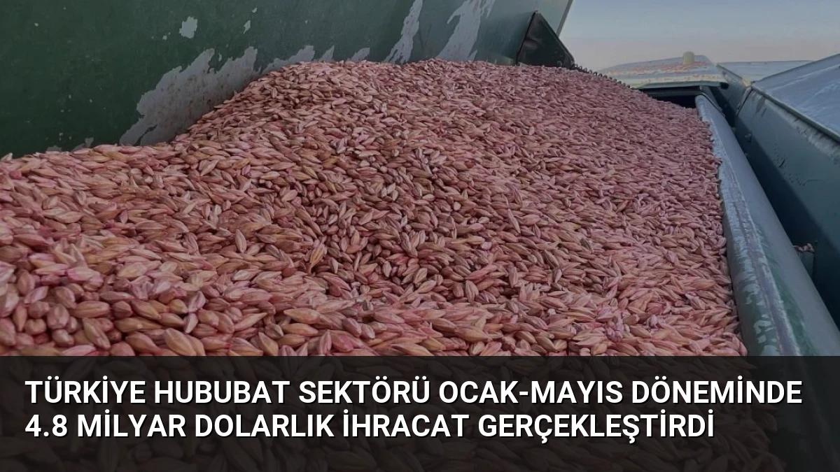 Türkiye Hububat Sektörü Ocak-Mayıs Döneminde 4.8 Milyar Dolarlık İhracat Gerçekleştirdi