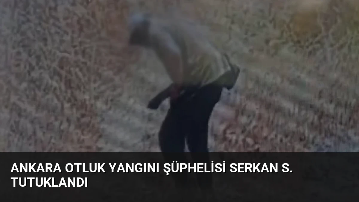Ankara Otluk Yangını Şüphelisi Serkan S. Tutuklandı