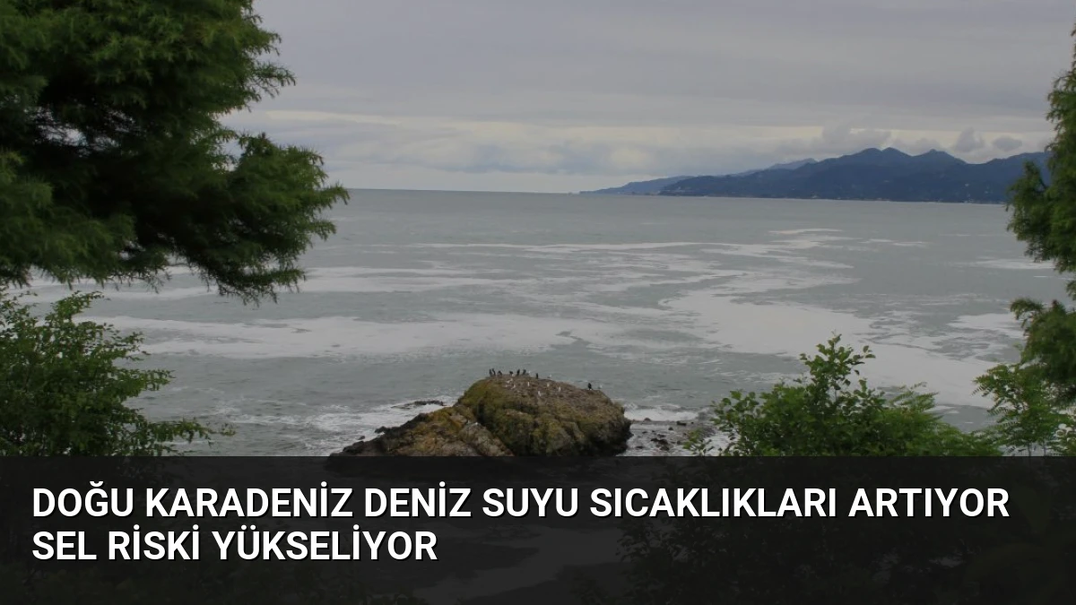 Doğu Karadeniz Deniz Suyu Sıcaklıkları Artıyor Sel Riski Yükseliyor