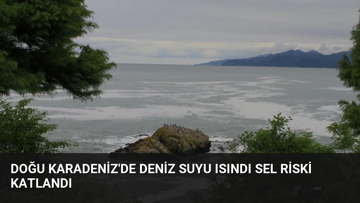Doğu Karadeniz’de Deniz Suyu Isındı Sel Riski Katlandı
