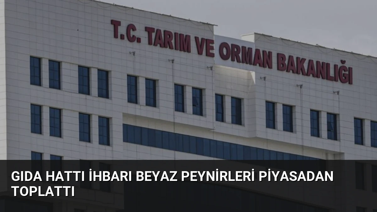 Gıda Hattı İhbarı Beyaz Peynirleri Piyasadan Toplattı