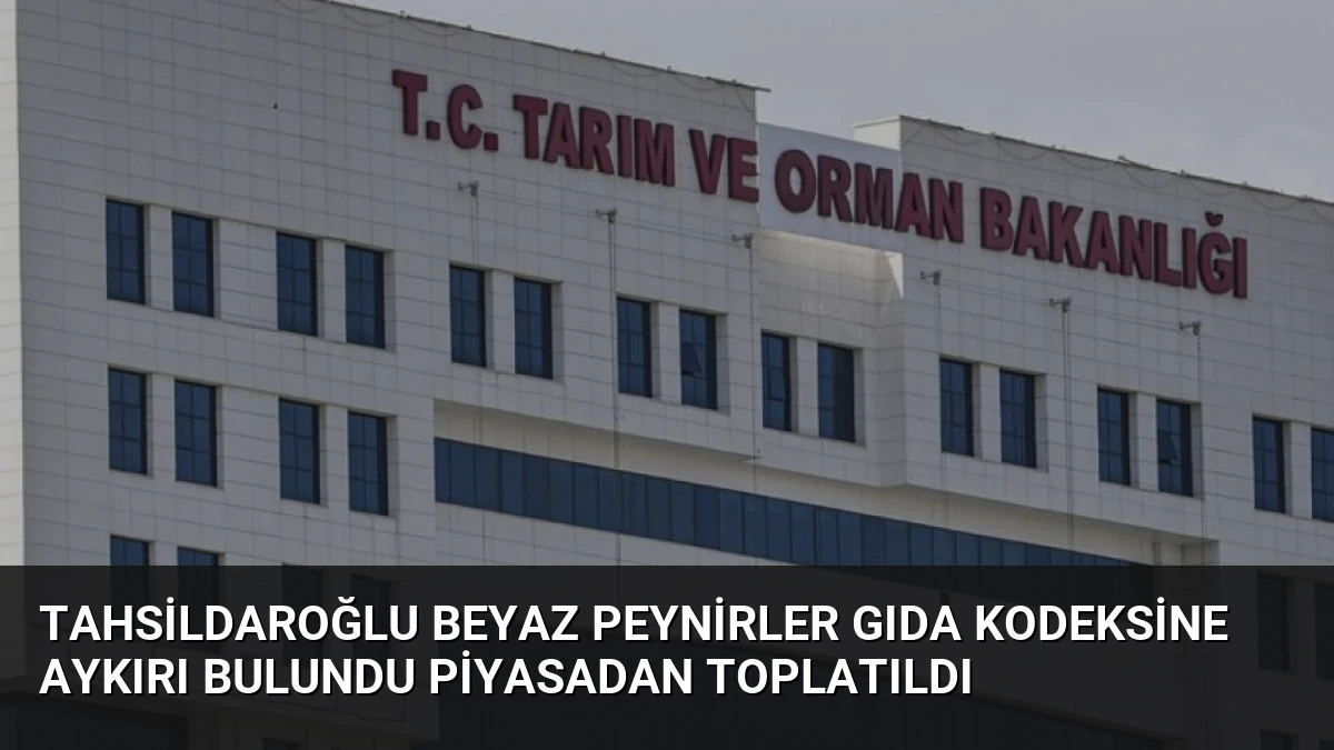 Tahsildaroğlu Beyaz Peynirler Gıda Kodeksine Aykırı Bulundu Piyasadan Toplatıldı