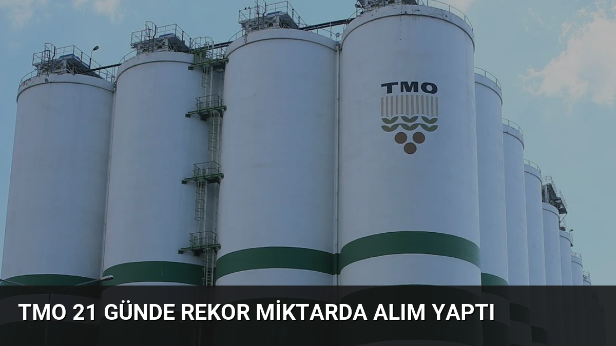 TMO 21 günde rekor miktarda alım yaptı