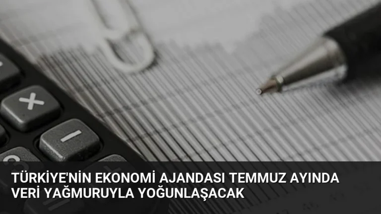 Türkiye’nin Ekonomi Ajandası Temmuz Ayında Veri Yağmuruyla Yoğunlaşacak