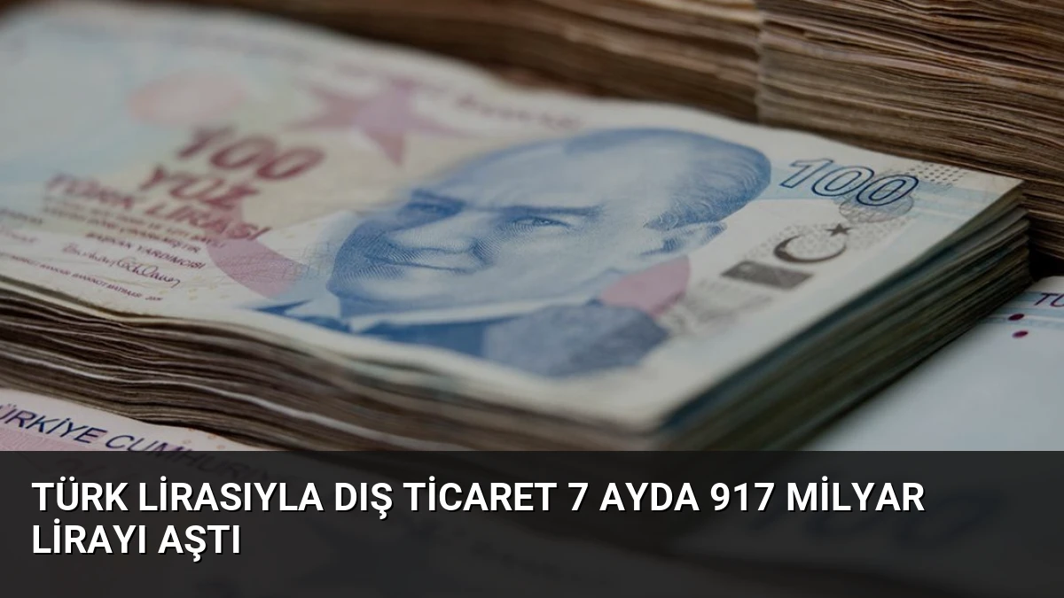 Türk Lirasıyla Dış Ticaret 7 Ayda 917 Milyar Lirayı Aştı