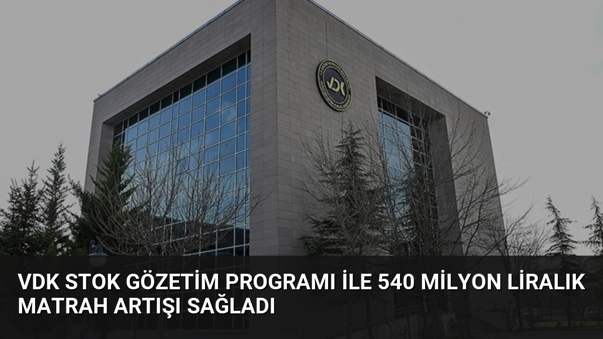 VDK Stok Gözetim Programı ile 540 Milyon Liralık Matrah Artışı Sağladı