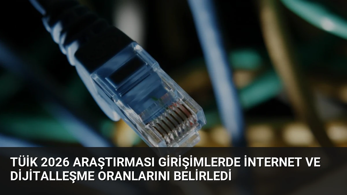TÜİK 2026 Araştırması Girişimlerde İnternet ve Dijitalleşme Oranlarını Belirledi