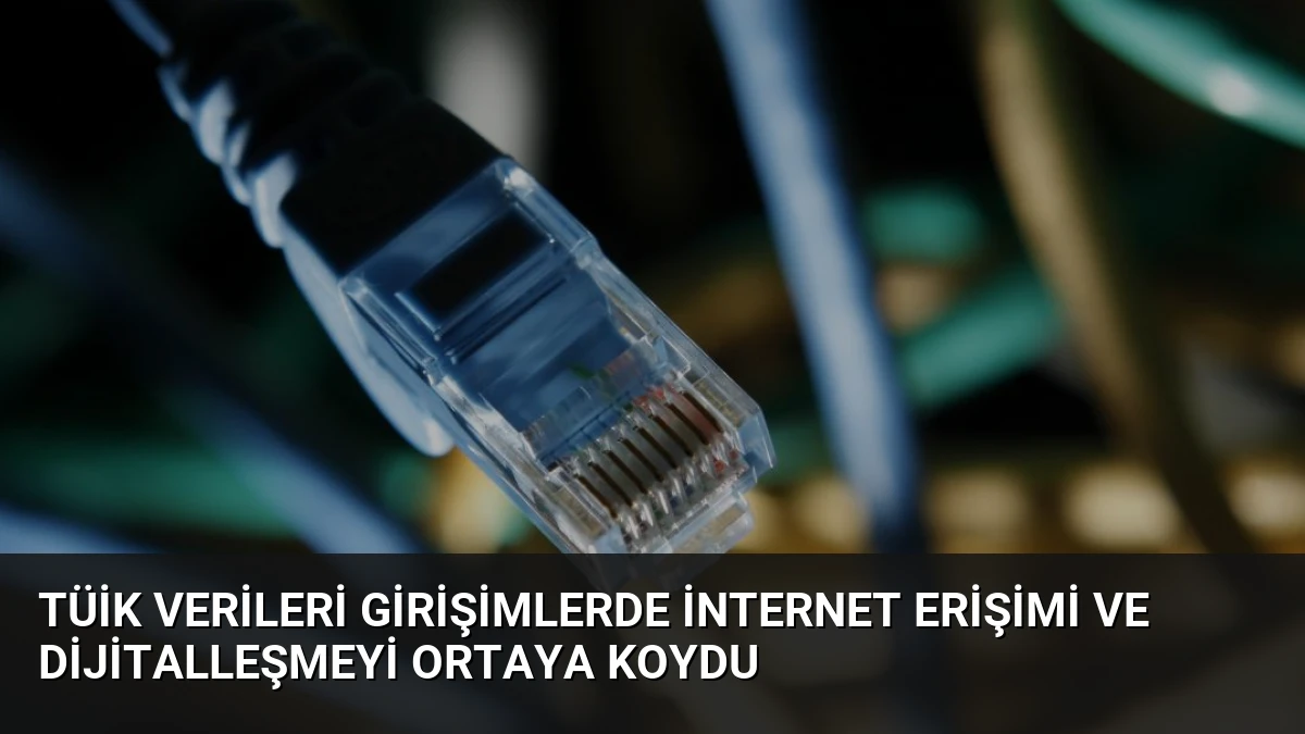 TÜİK Verileri Girişimlerde İnternet Erişimi ve Dijitalleşmeyi Ortaya Koydu