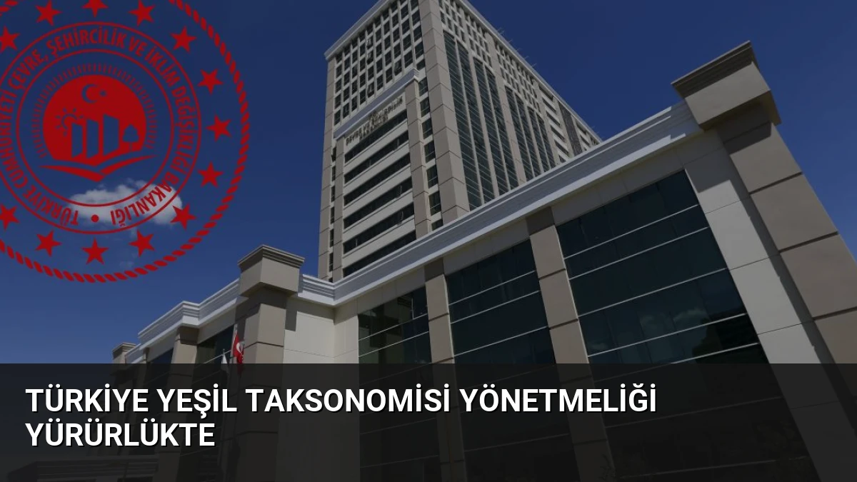 Türkiye Yeşil Taksonomisi Yönetmeliği Yürürlükte
