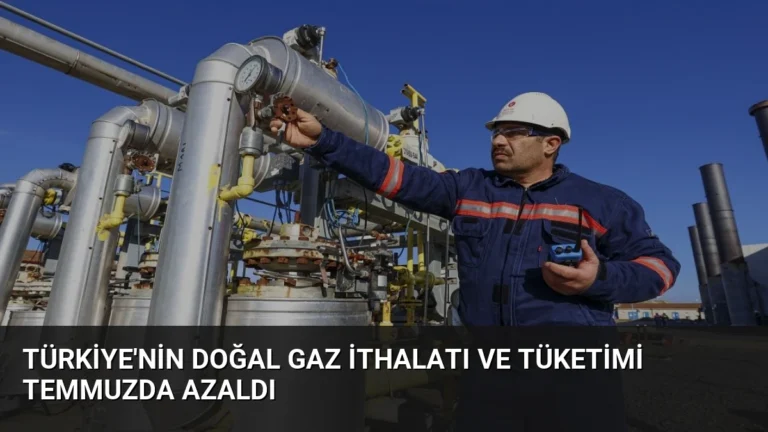 Türkiye’nin Doğal Gaz İthalatı ve Tüketimi Temmuzda Azaldı