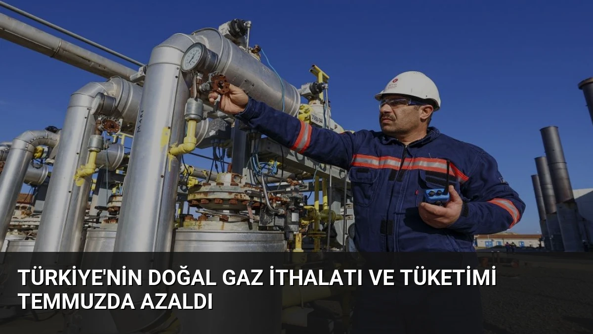 Türkiye’nin Doğal Gaz İthalatı ve Tüketimi Temmuzda Azaldı