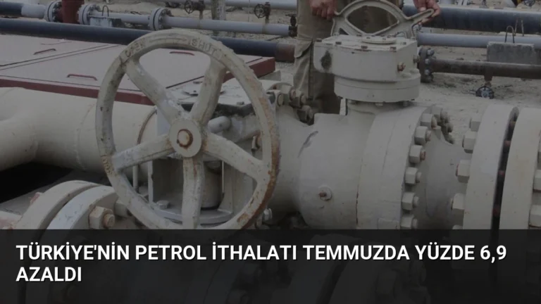 Türkiye’nin Petrol İthalatı Temmuzda Yüzde 6,9 Azaldı