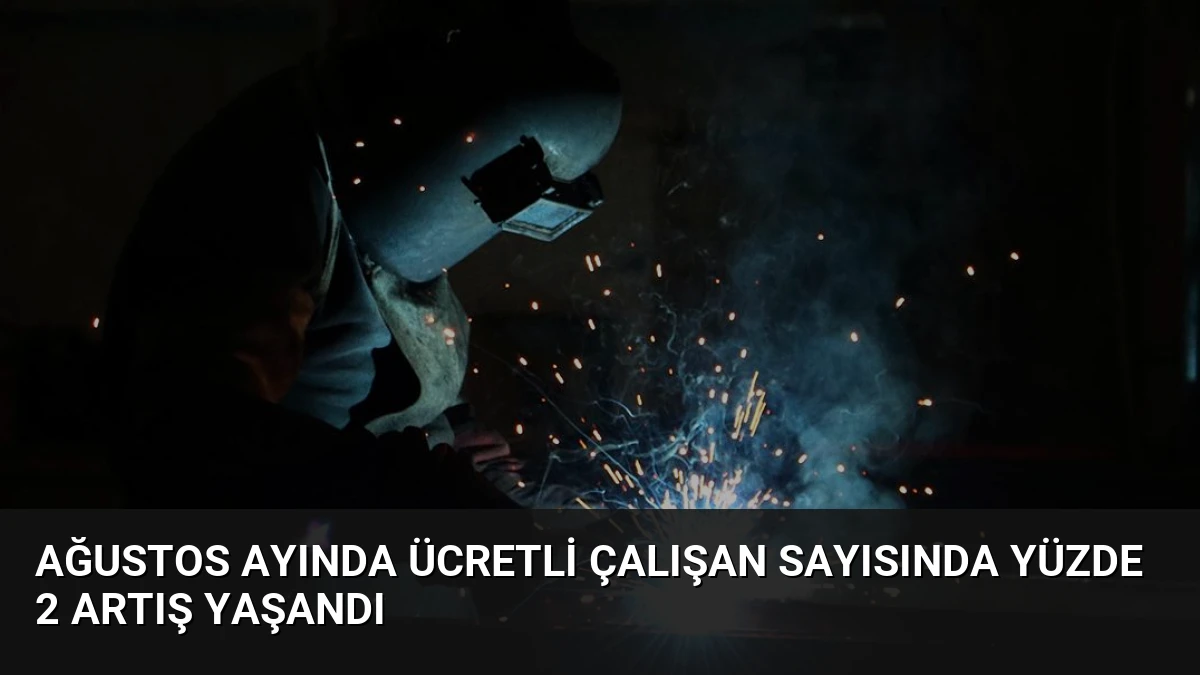 Ağustos Ayında Ücretli Çalışan Sayısında Yüzde 2 Artış Yaşandı
