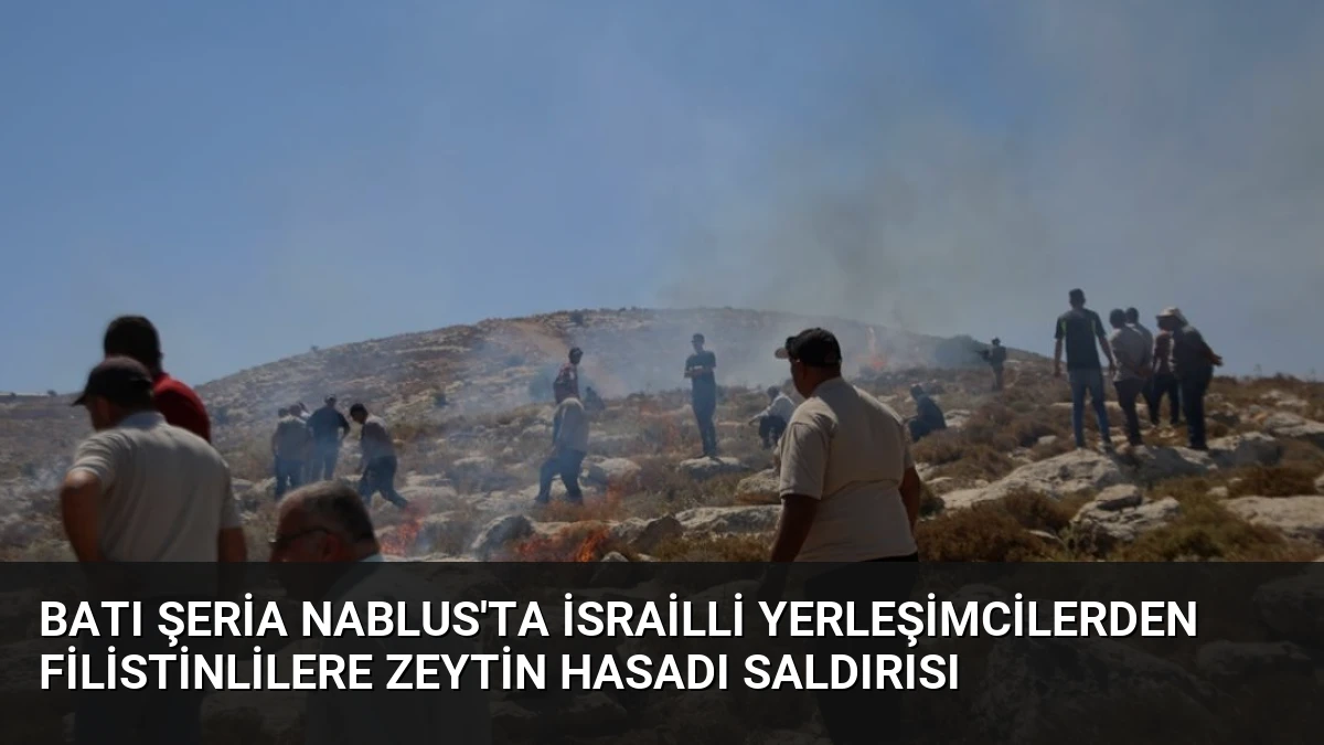 Batı Şeria Nablus’ta İsrailli Yerleşimcilerden Filistinlilere Zeytin Hasadı Saldırısı