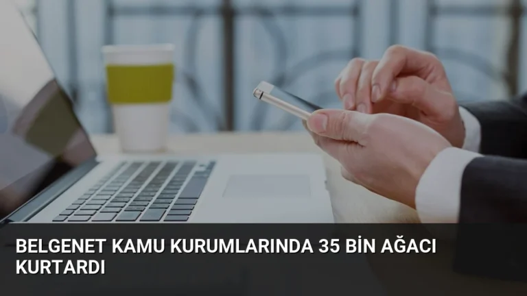 BelgeNet Kamu Kurumlarında 35 Bin Ağacı Kurtardı