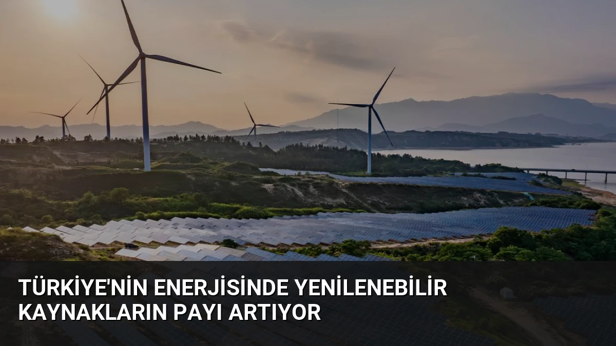Türkiye’nin Enerjisinde Yenilenebilir Kaynakların Payı Artıyor